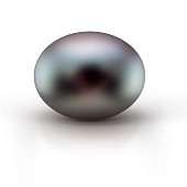 Жемчужина "пуговица" черная пресноводная 10,5-11 мм. Класс высокий